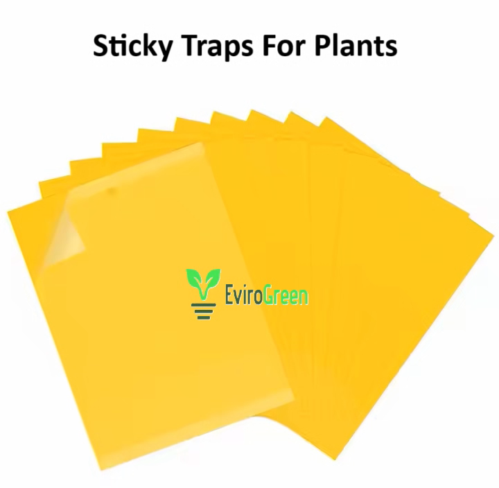 Sticky Fly Trap - Pack of 20 Sheets - Yellow