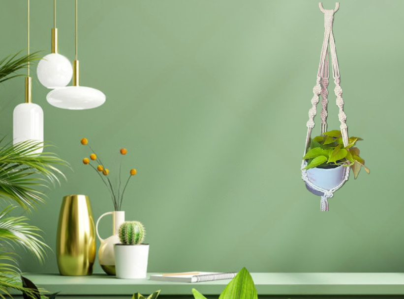 MACRAME PLANT HANGER - PACK OF 1