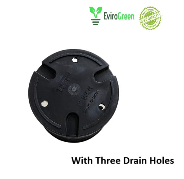 6 Inch Plastic Pot - Black