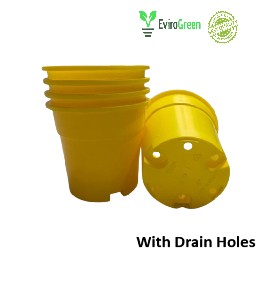 4 Inch Plastic Pot - Nursery Pot - Yellow