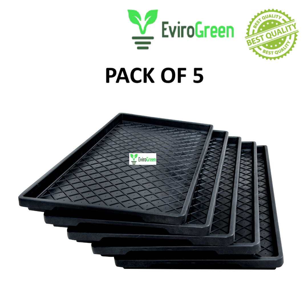 π± PADDY / WHEAT GRASS TRAY β WITH HOLES β PACK OF 5 π±