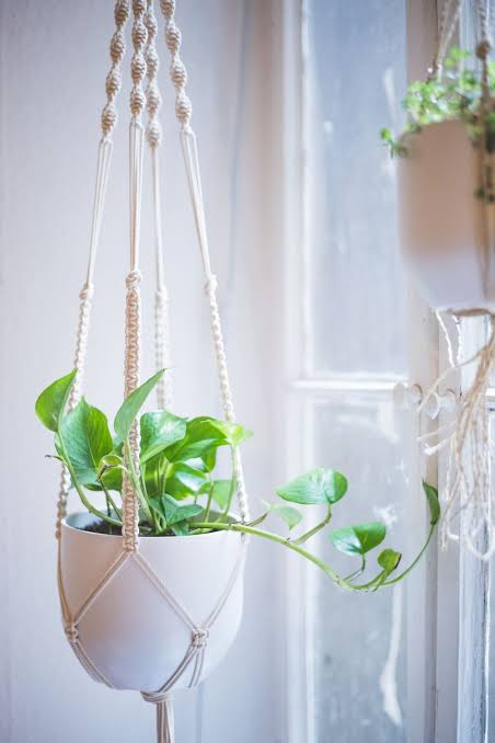 MACRAME PLANT HANGER - PACK OF 1