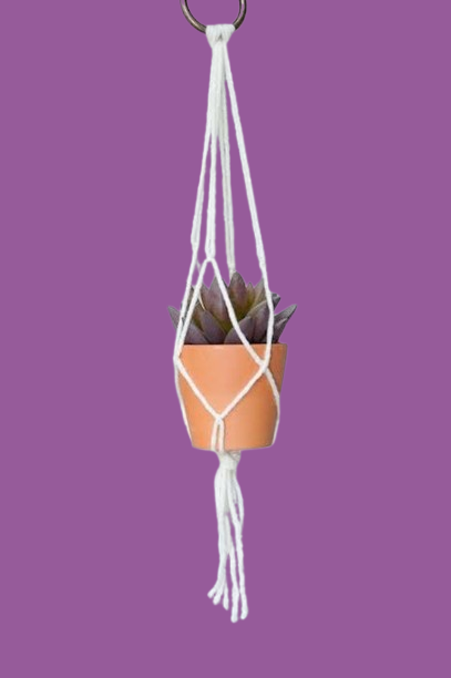 MACRAME PLANT HANGER - PACK OF 1