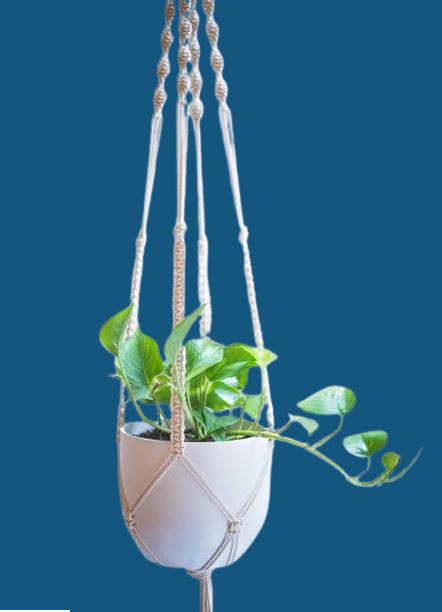 MACRAME PLANT HANGER - PACK OF 1