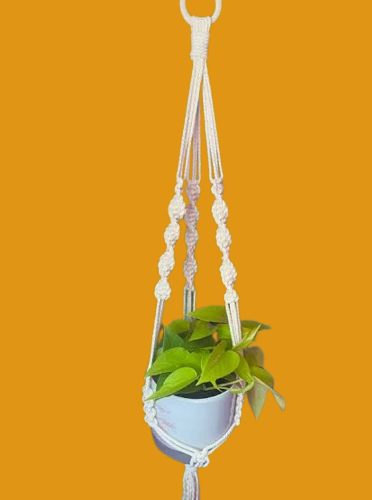 MACRAME PLANT HANGER - PACK OF 1