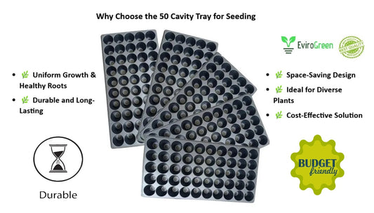 50 CAVITY SEEDLING TRAY - PACK OF 5