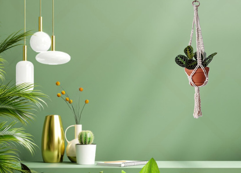 MACRAME PLANT HANGER - PACK OF 1