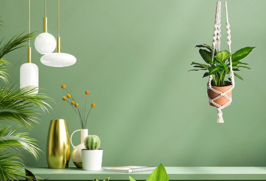 MACRAME PLANT HANGER - PACK OF 1