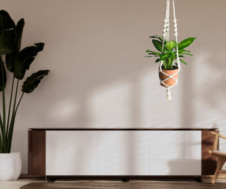 MACRAME PLANT HANGER - PACK OF 1
