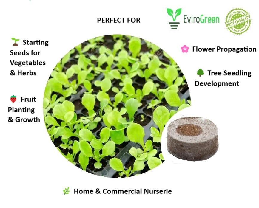 50 CAVITY SEEDLING TRAY - PACK OF 3