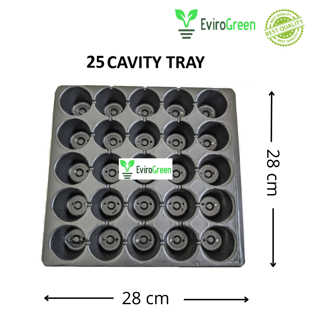 25 CAVITY SEEDLING TRAY - PACK OF 4 & 1 COCO BRICK COMBO