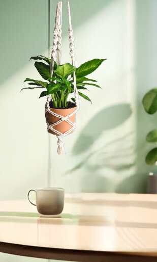 MACRAME PLANT HANGER - PACK OF 1