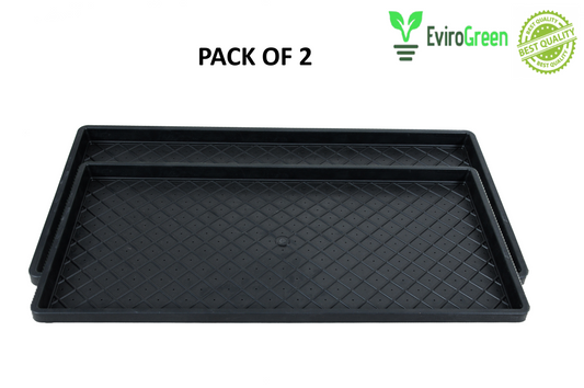 🌱PADDY / WHEAT GRASS TRAY - WITH HOLES - PACK OF 2🌱