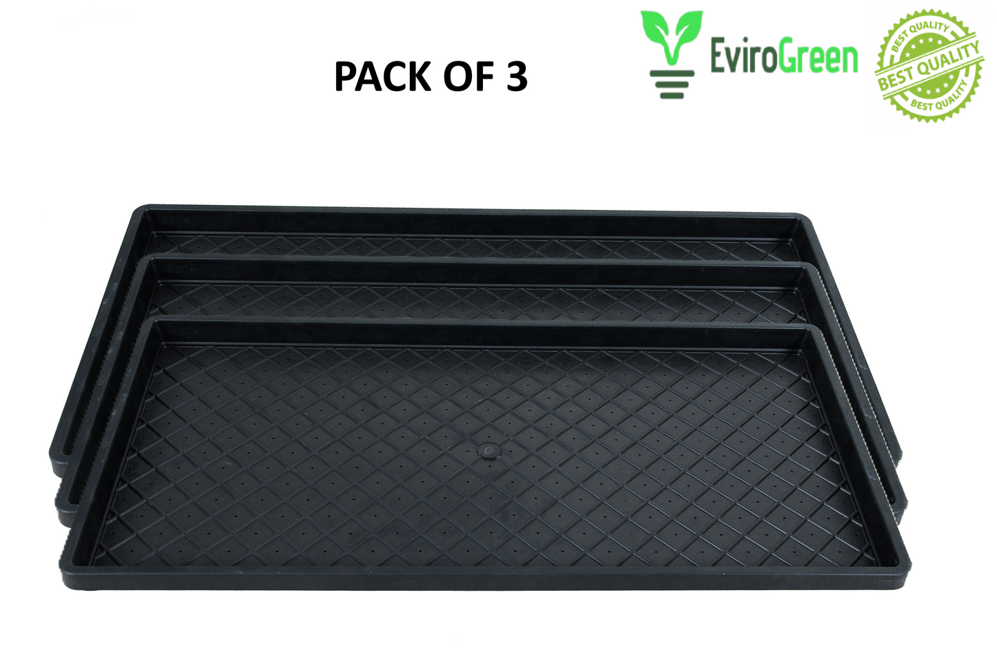 🌱 PADDY / WHEAT GRASS TRAY - WITH HOLES - PACK OF 3 🌱