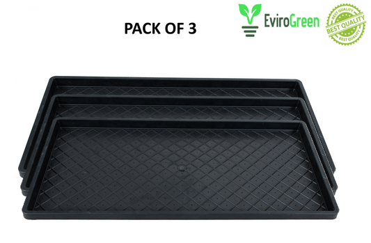 🌱 PADDY / WHEAT GRASS TRAY - WITH HOLES - PACK OF 3 🌱