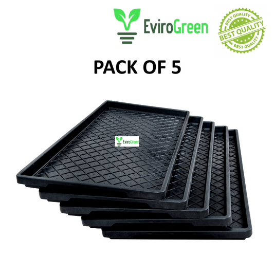 🌱 PADDY / WHEAT GRASS TRAY – WITH HOLES – PACK OF 5 🌱