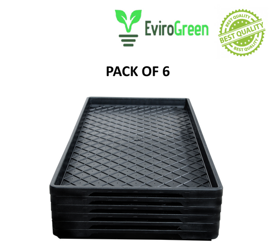 🌱 PADDY / WHEAT GRASS TRAY – WITH HOLES – PACK OF 6 🌱