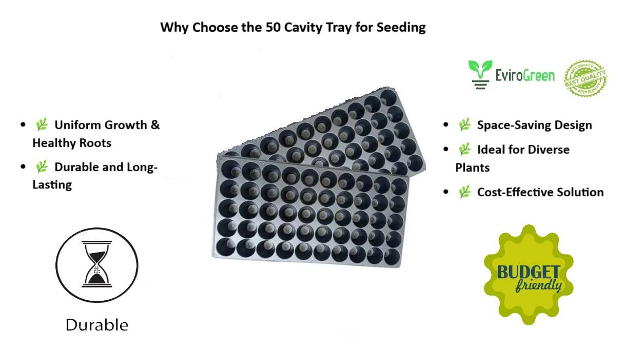 50 CAVITY SEEDLING TRAY - PACK OF 2