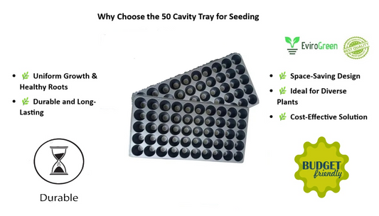 50 CAVITY SEEDLING TRAY - PACK OF 2