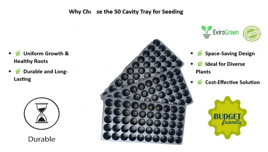 50 CAVITY SEEDLING TRAY - PACK OF 3