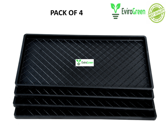 🌱 PADDY / WHEAT GRASS TRAY – WITH HOLES – PACK OF 4 🌱