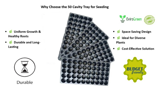 50 CAVITY SEEDLING TRAY - PACK OF 4