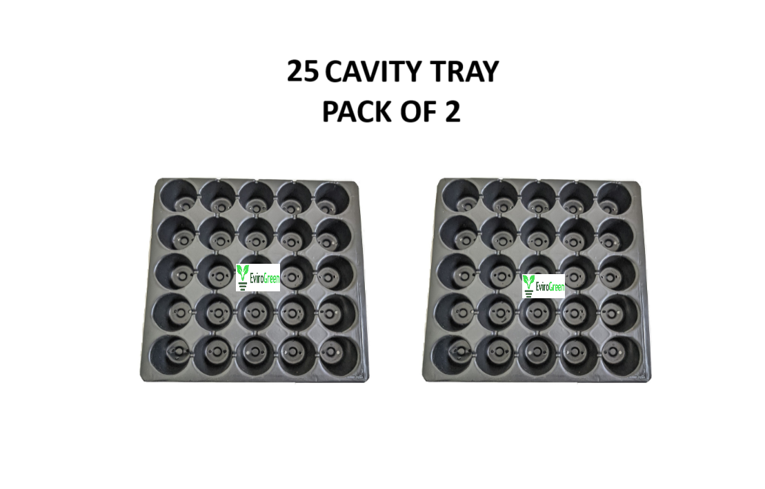 25 CAVITY SEEDLING TRAY - PACK OF 2