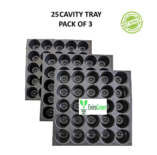 25 CAVITY SEEDLING TRAY - PACK OF 3