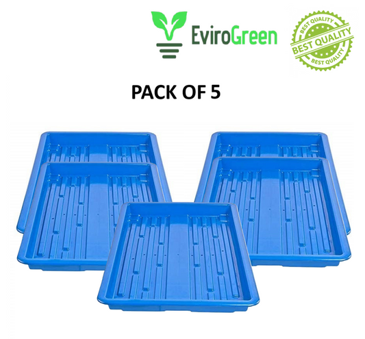 💧 HYDROPONIC TRAY – PACK OF 5 💧