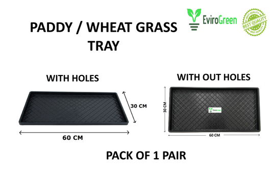 🌱 MICROGREEN / PADDY / WHEAT GRASS TRAY - 1 Pair ( 1 With Holes and 1 With Out Holes) 🌱