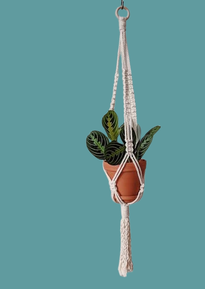 MACRAME PLANT HANGER - PACK OF 1