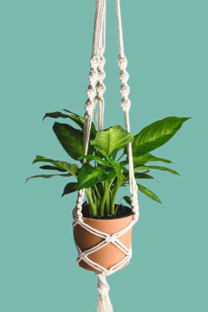 MACRAME PLANT HANGER - PACK OF 1